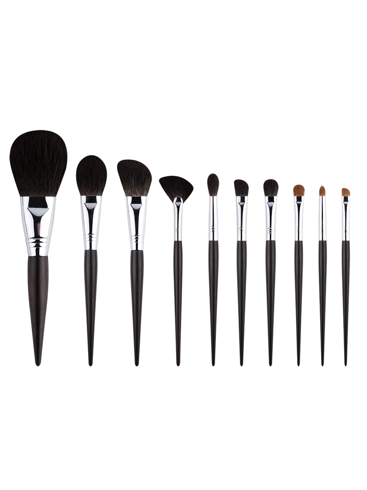 Ten-piece makeup brush set with dark handles on a white background