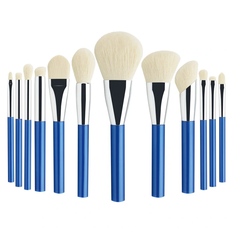 Overview of the 12-piece blue makeup brush set